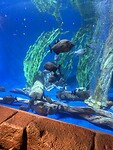IMG_6155