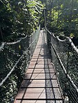 IMG_6143