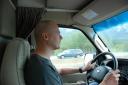 Just cruisin'