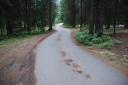 Johnston - campground-3