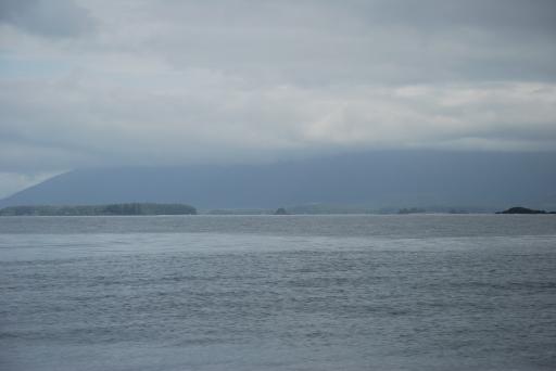 DSC_0081