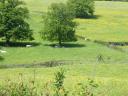 DSCF0590