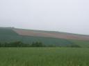 DSCF0573