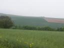 DSCF0574