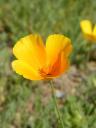 DSCF0608