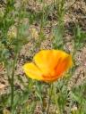 DSCF0609