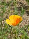 DSCF0610