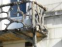 DSCF0677