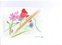 bloemen 12-06-2009 - kopie