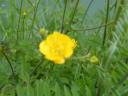 DSCF0483