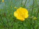 DSCF0484