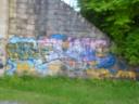 DSCF0486