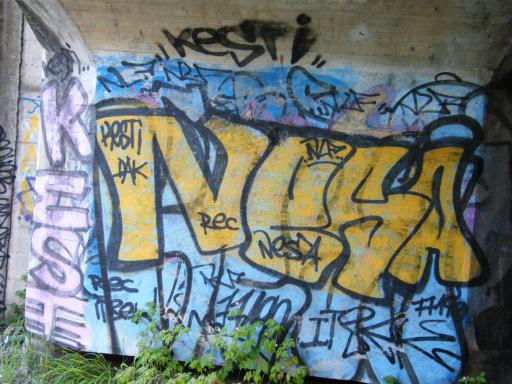 DSCF0490