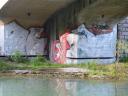 DSCF0493