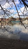 Cambridge Women Boatrace