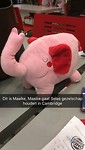 Fluffy pink elephant named Maaike