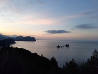 Petrovac Survey