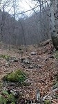 Kiwa in het Bos