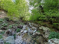 Rivier, kijk hoe groen het is!