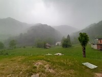 Regen!