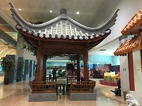 IMG_2549