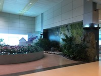 IMG_2551