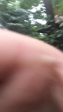 Poging tot een vlog in een griezelig dierentuin