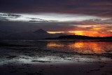 DSC03839