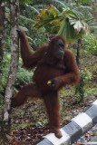 Seminggoh Park