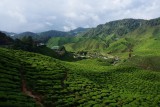 DSC04917