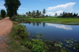 DSC05710