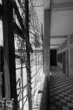 DSC05918