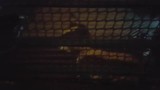 20170309_213315