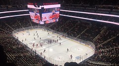 LA Ducks VS Edmonton Oilers