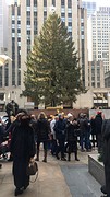 Uit welke film is deze kerstboom?