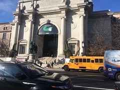 Night At The Museum - Museum