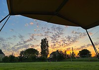 IMG_1408