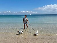 IMG_1417