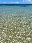 IMG_1418
