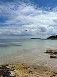 IMG_1419