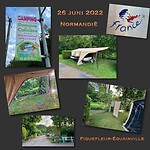 IMG_1429