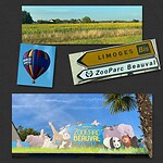 IMG_1435