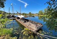 IMG_1436