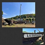 IMG_1439