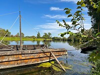 IMG_1442