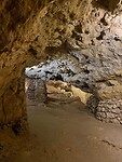 IMG_1449