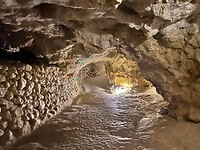 IMG_1452