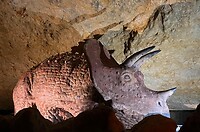 IMG_1453