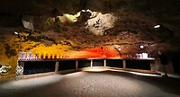 IMG_1455