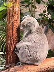 IMG_1464